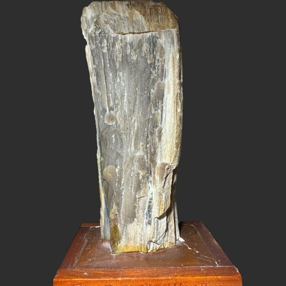 PETRIFIED WOOD NORTH DAKOTA BADLANDS ON VINTAGE HANDMADE STAND - Picture 3 of 12
